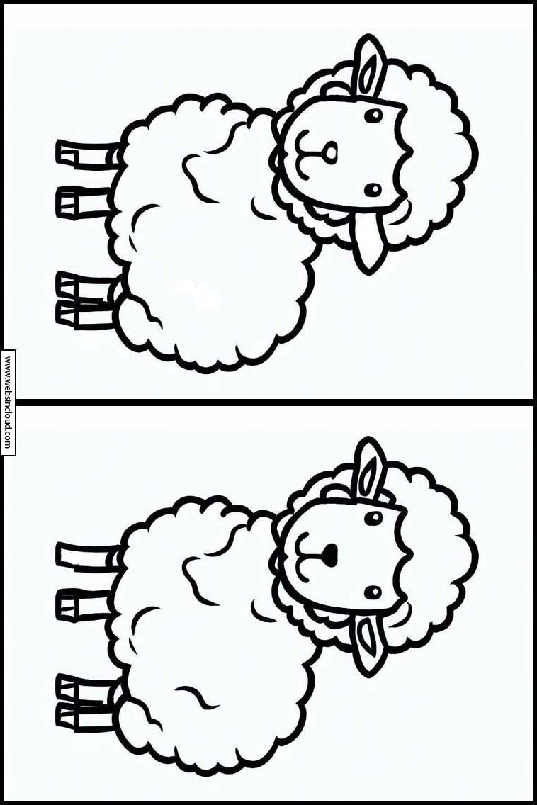 Sheep - Animals 1