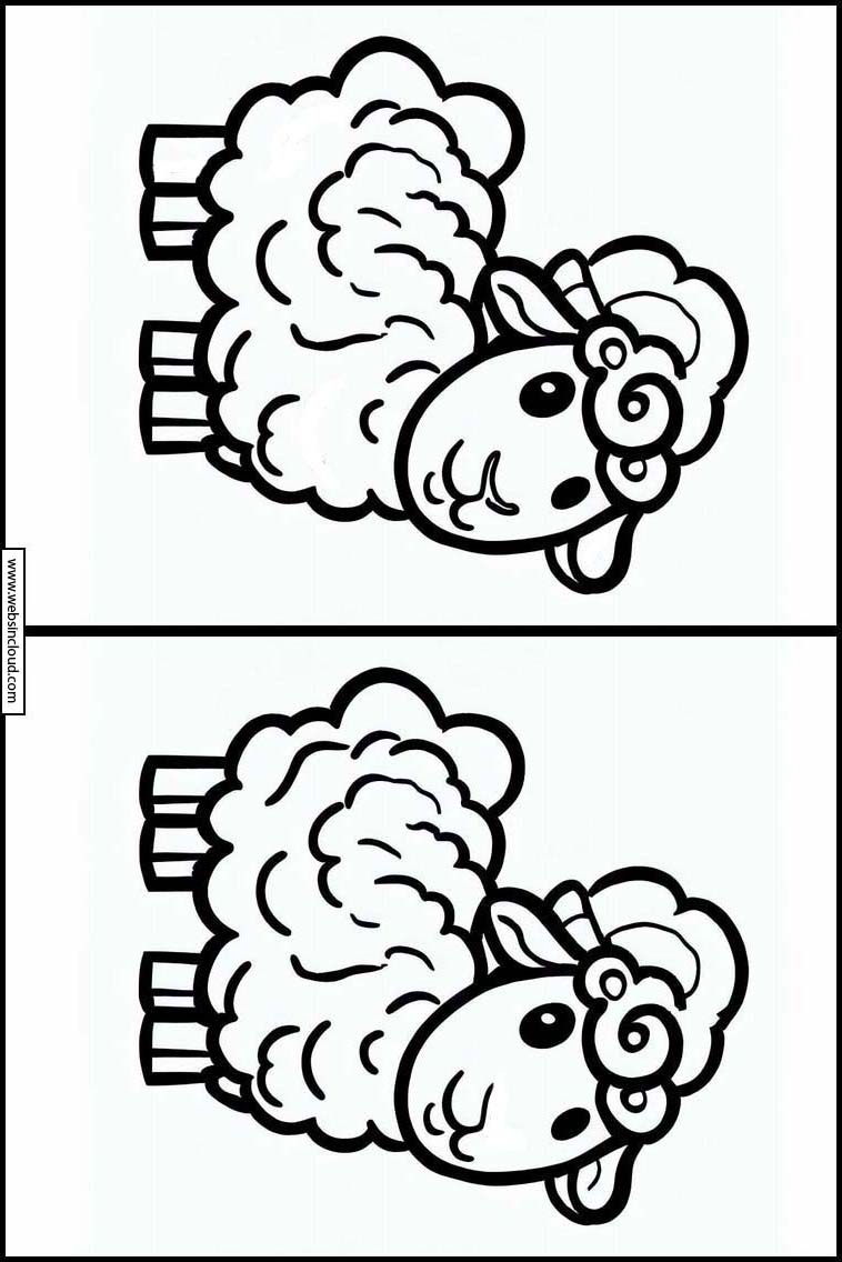 Schafe - Tiere 5