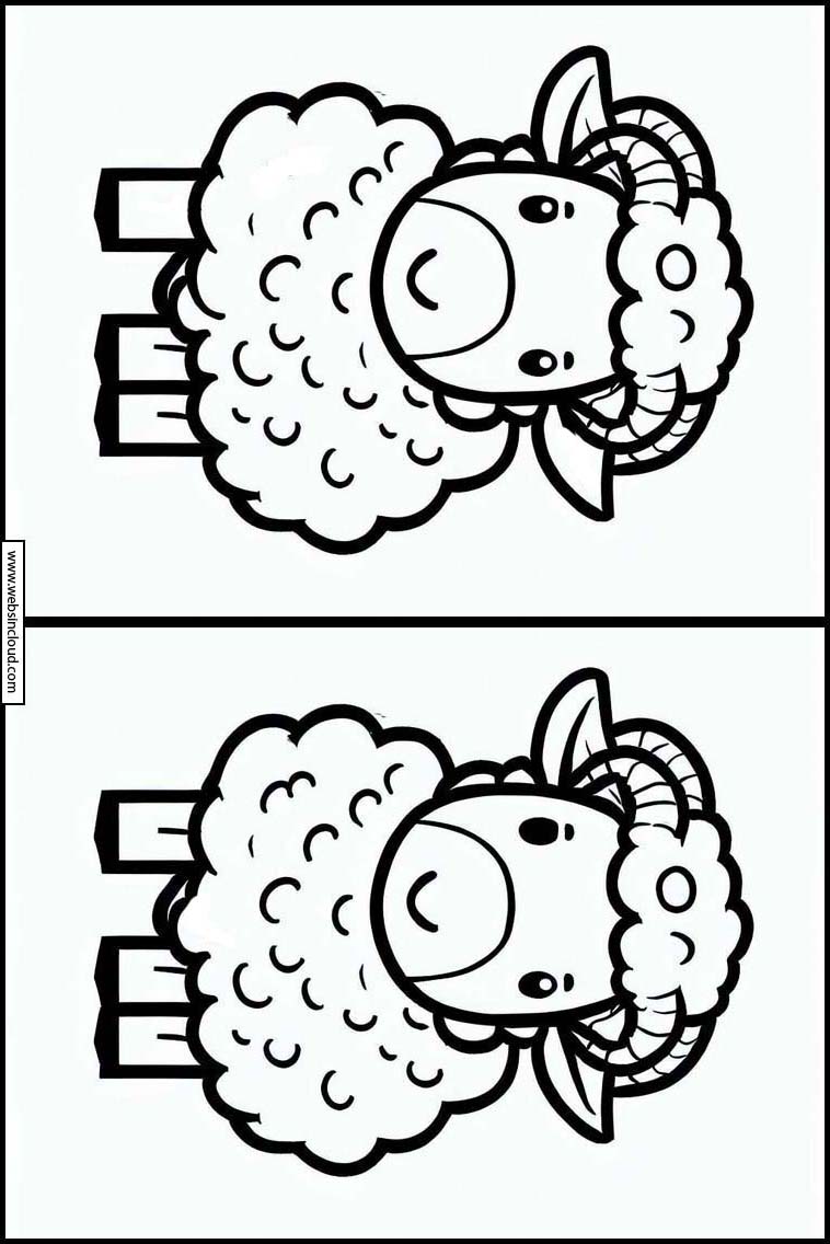 Moutons - Animaux 6