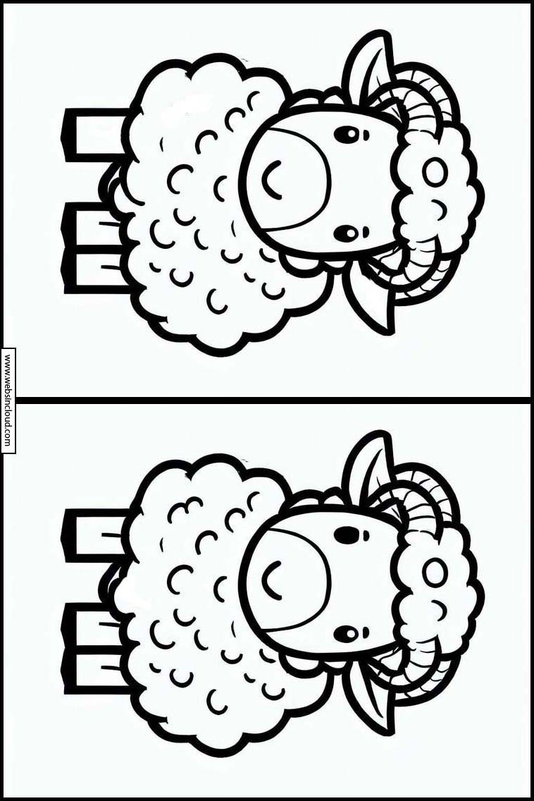 Sheep - Animals 6