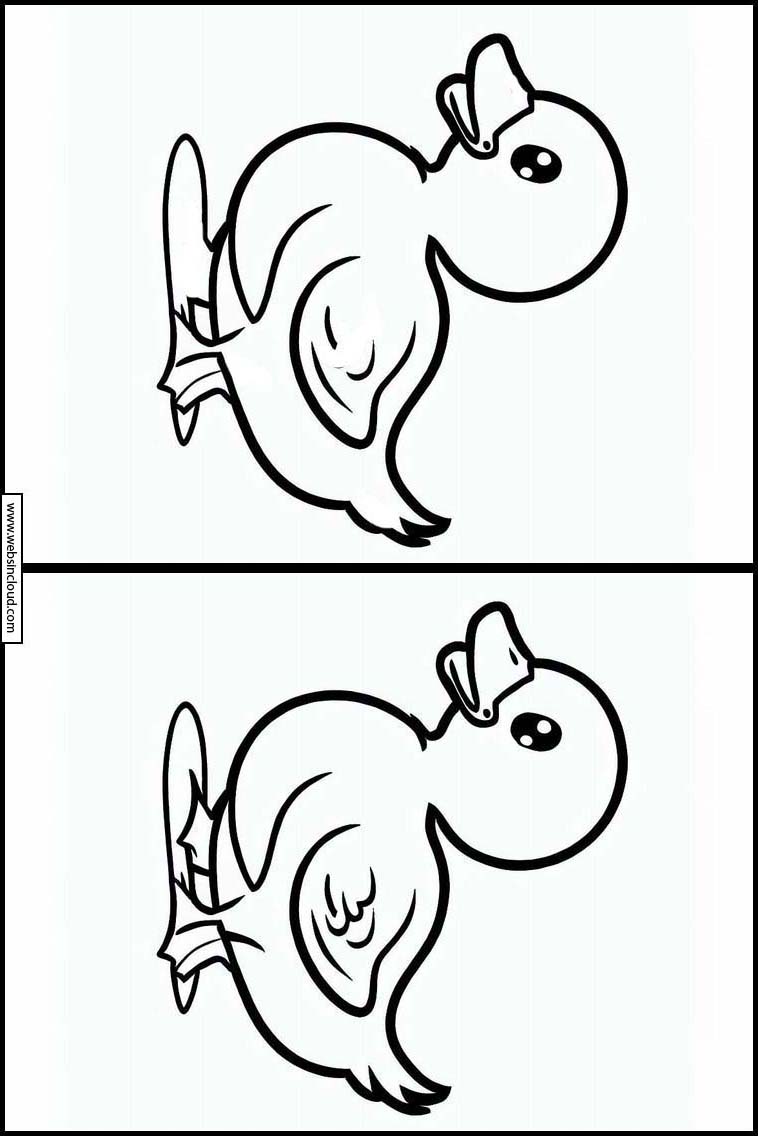 Patos - Animais 1