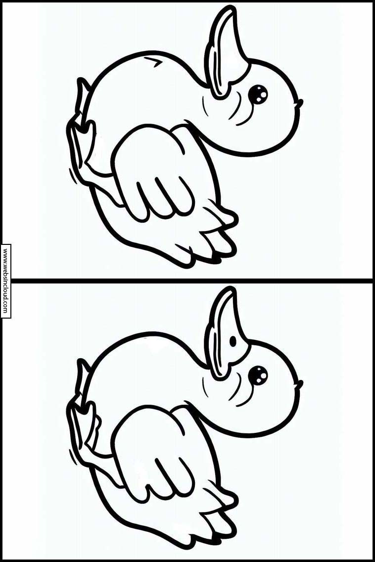 Patos - Animais 3