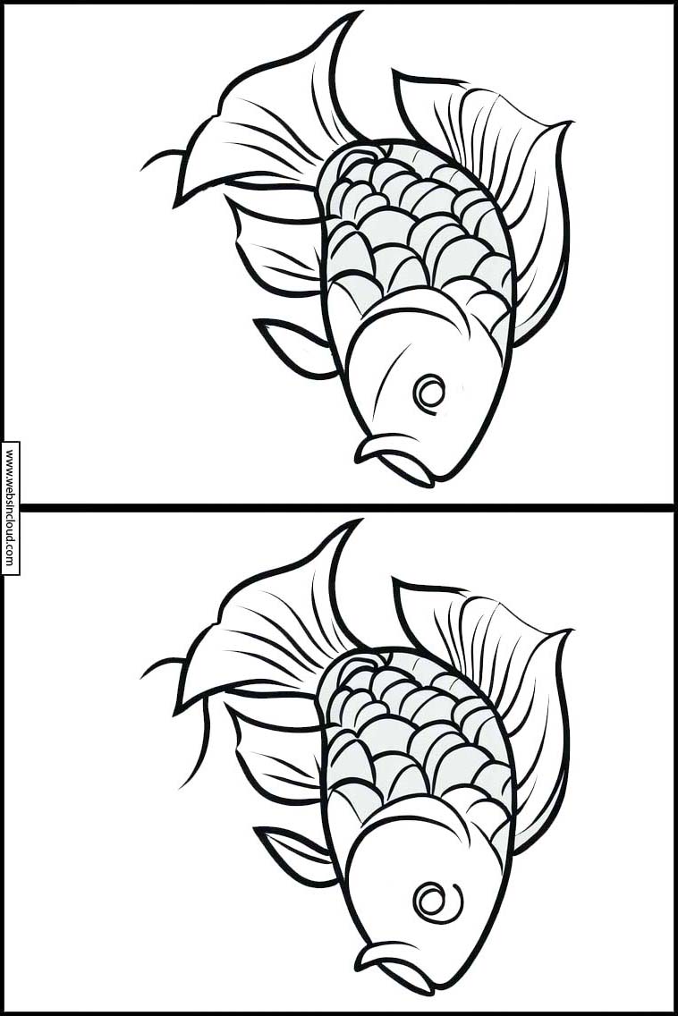 Peixes - Animais 3