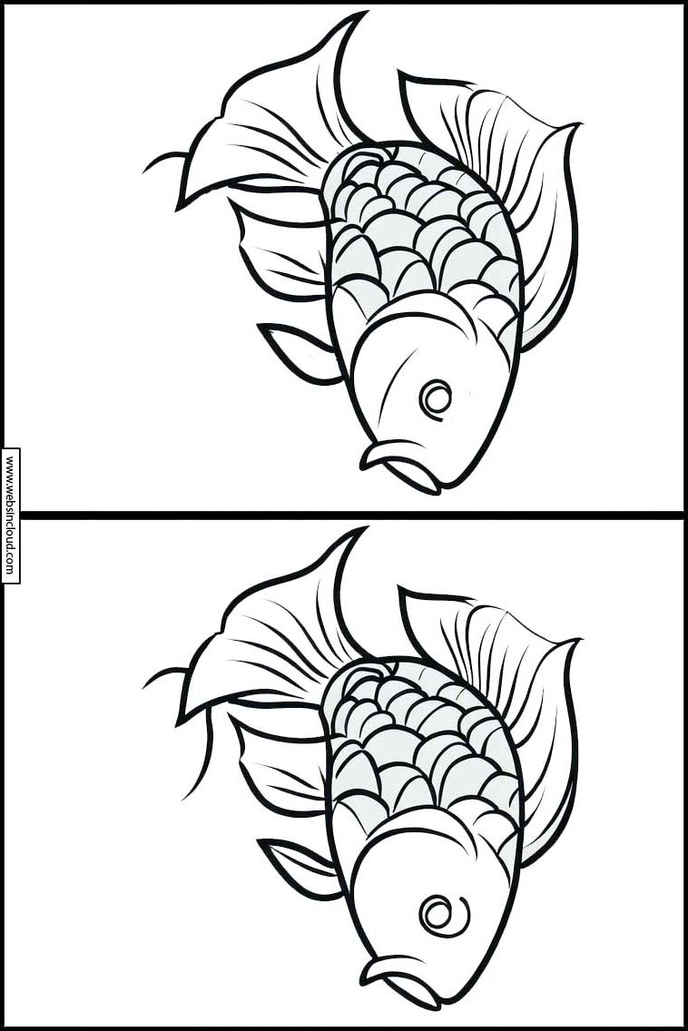 Fish - Animals 3