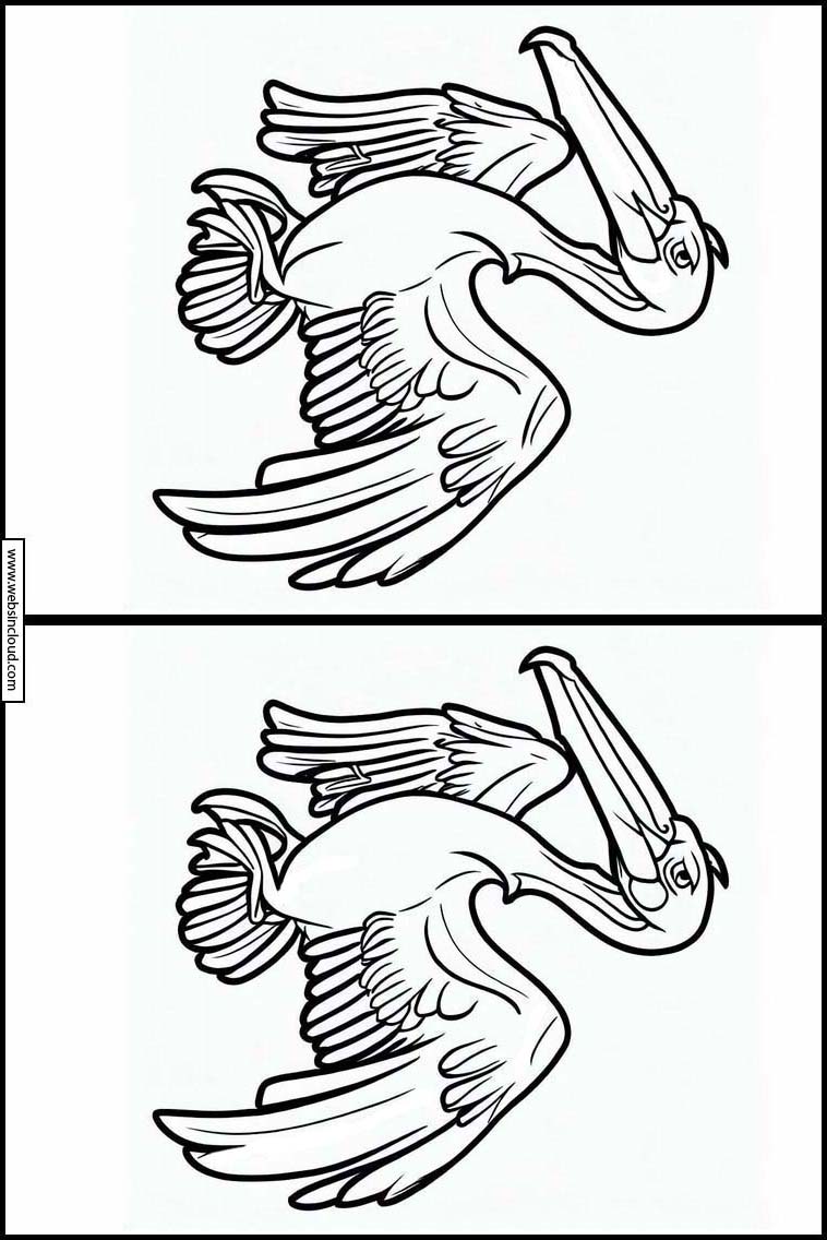 Pelikanen - Dieren 1