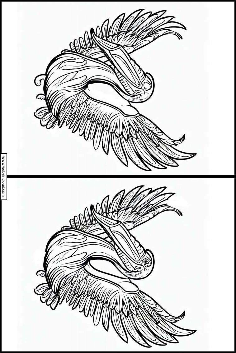 Pelikan - Dyr 2