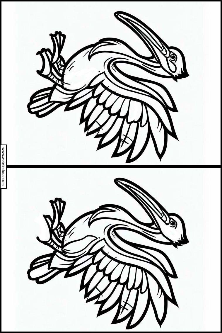 Pelikanen - Dieren 3
