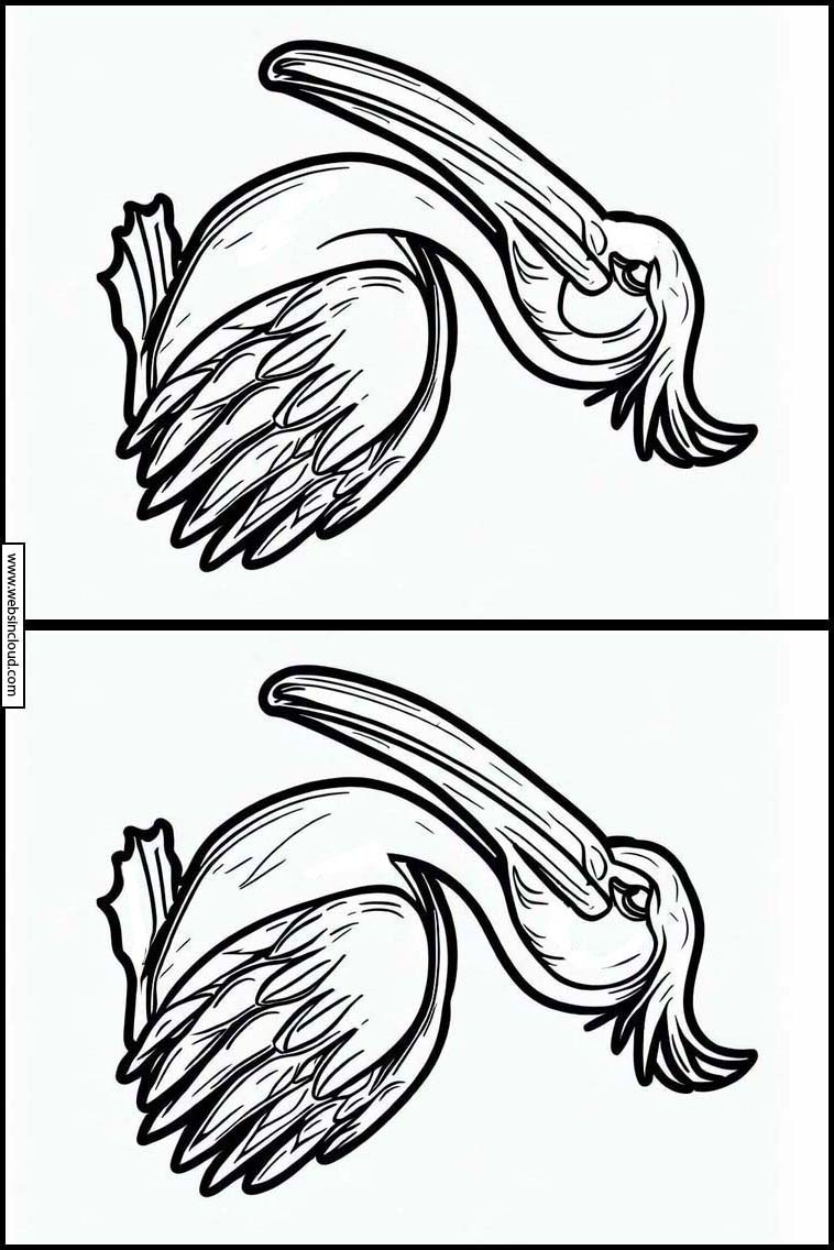 Pelikaner - Dyr 4