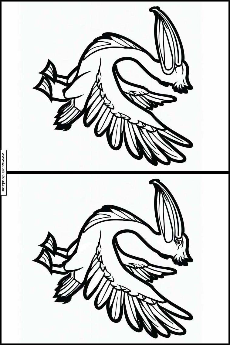 Pelikanen - Dieren 5