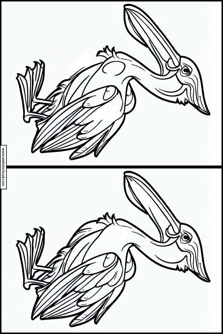 Pelikanen - Dieren 6