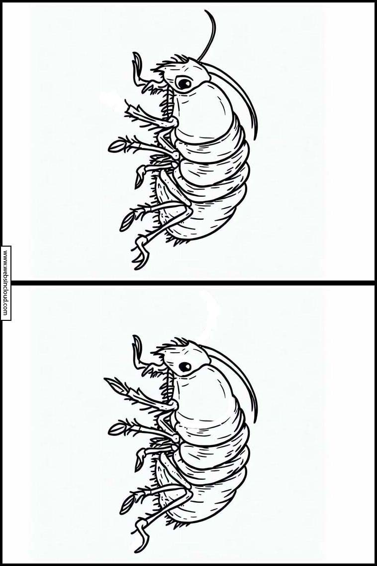 Vlooien - Dieren 1