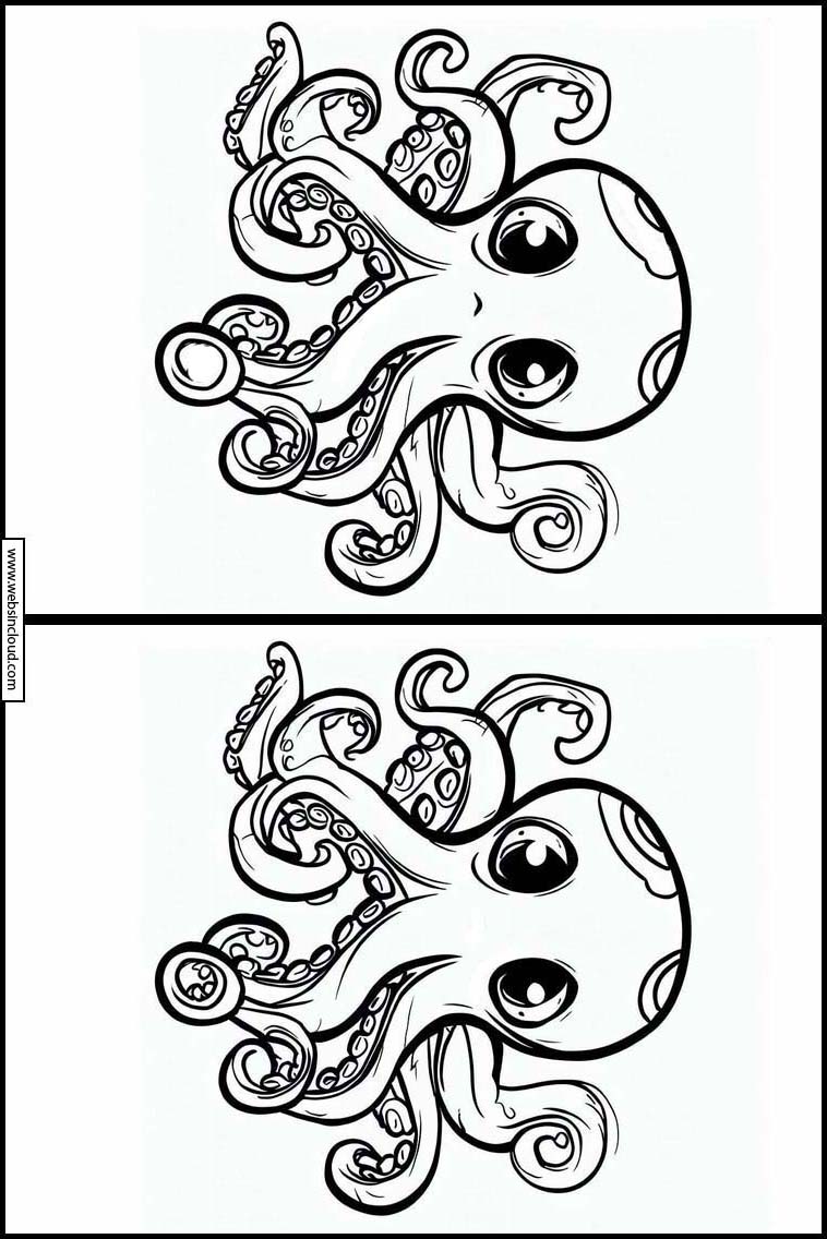 Octopuses - Animals 1