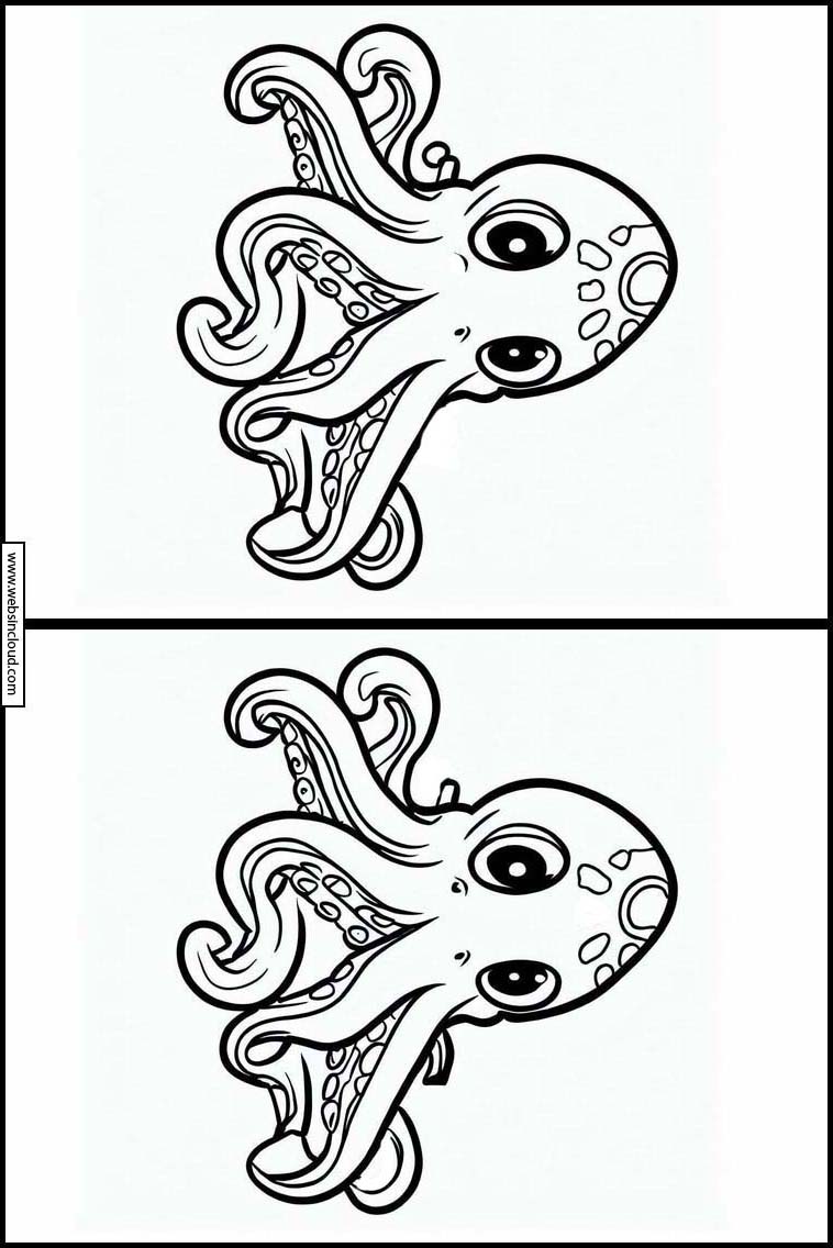 Blæksprutter - Dyr 2