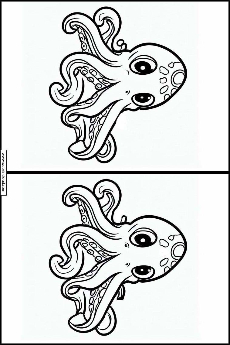 Octopuses - Animals 2