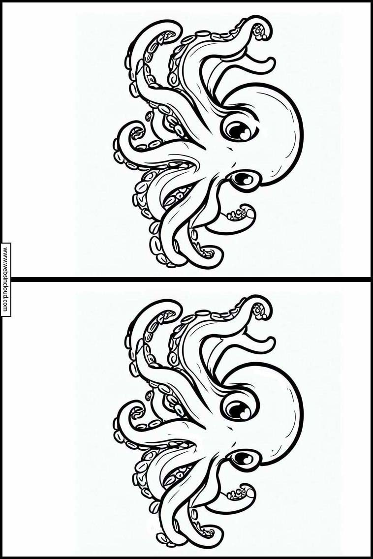 Blæksprutter - Dyr 4