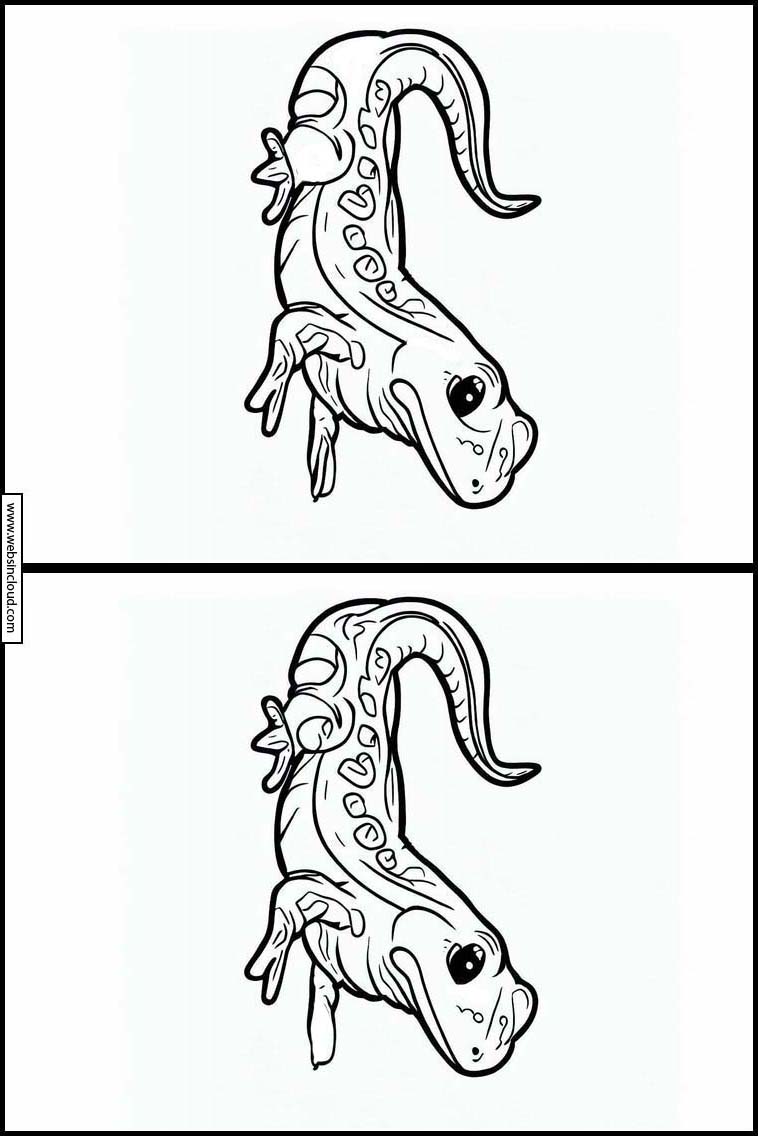 Salamander - Dyr 2