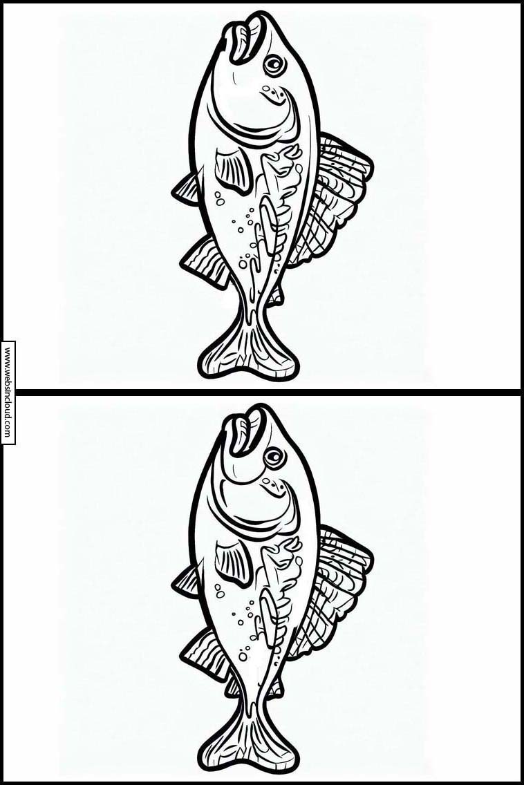 Salmon - Animals 3