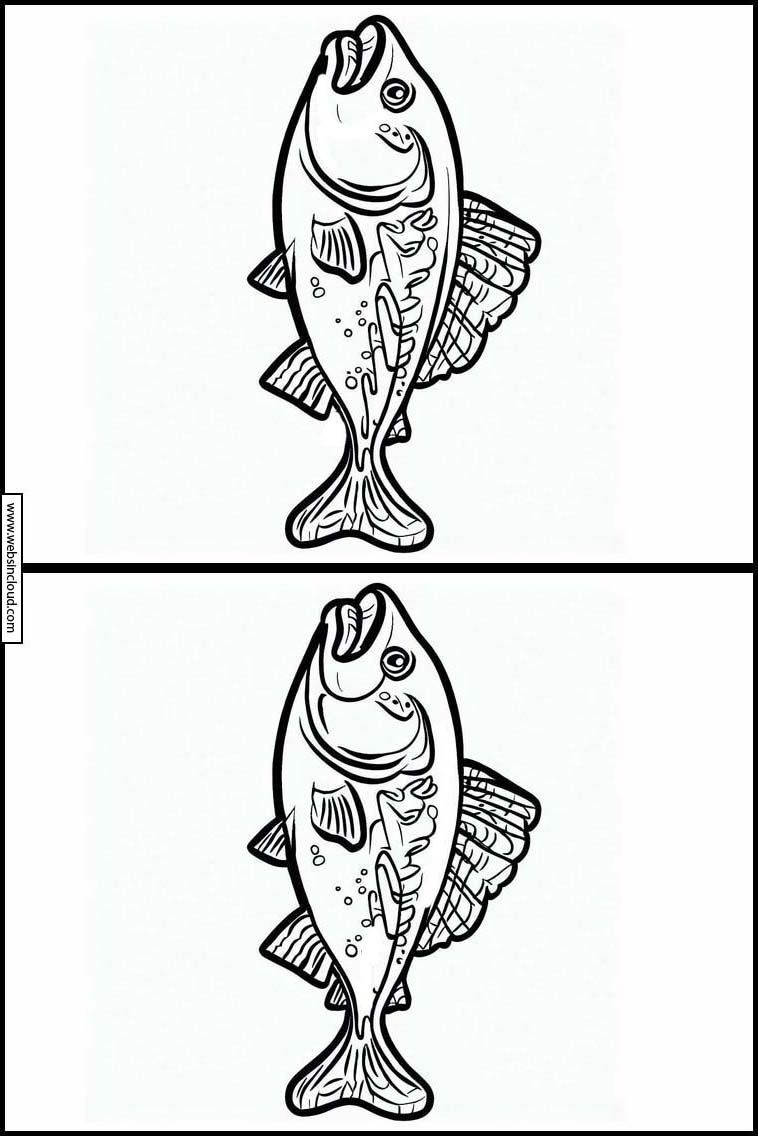 Zalm - Dieren 3