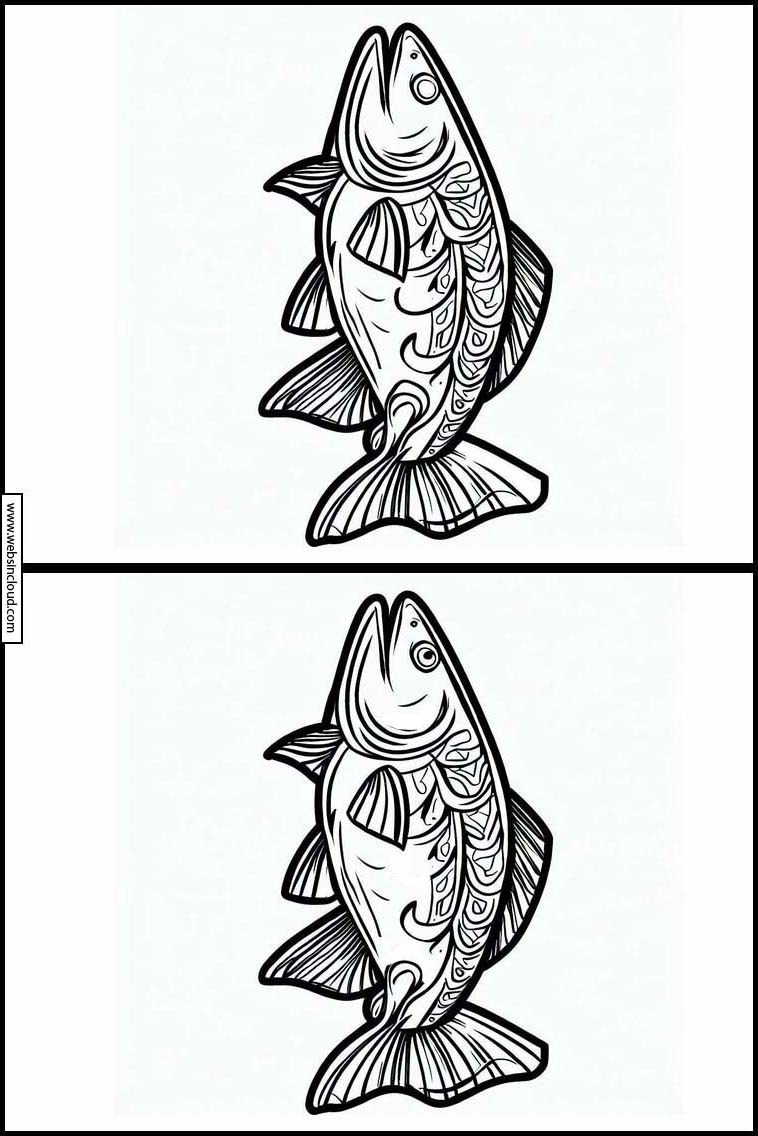 Salmon - Animals 4