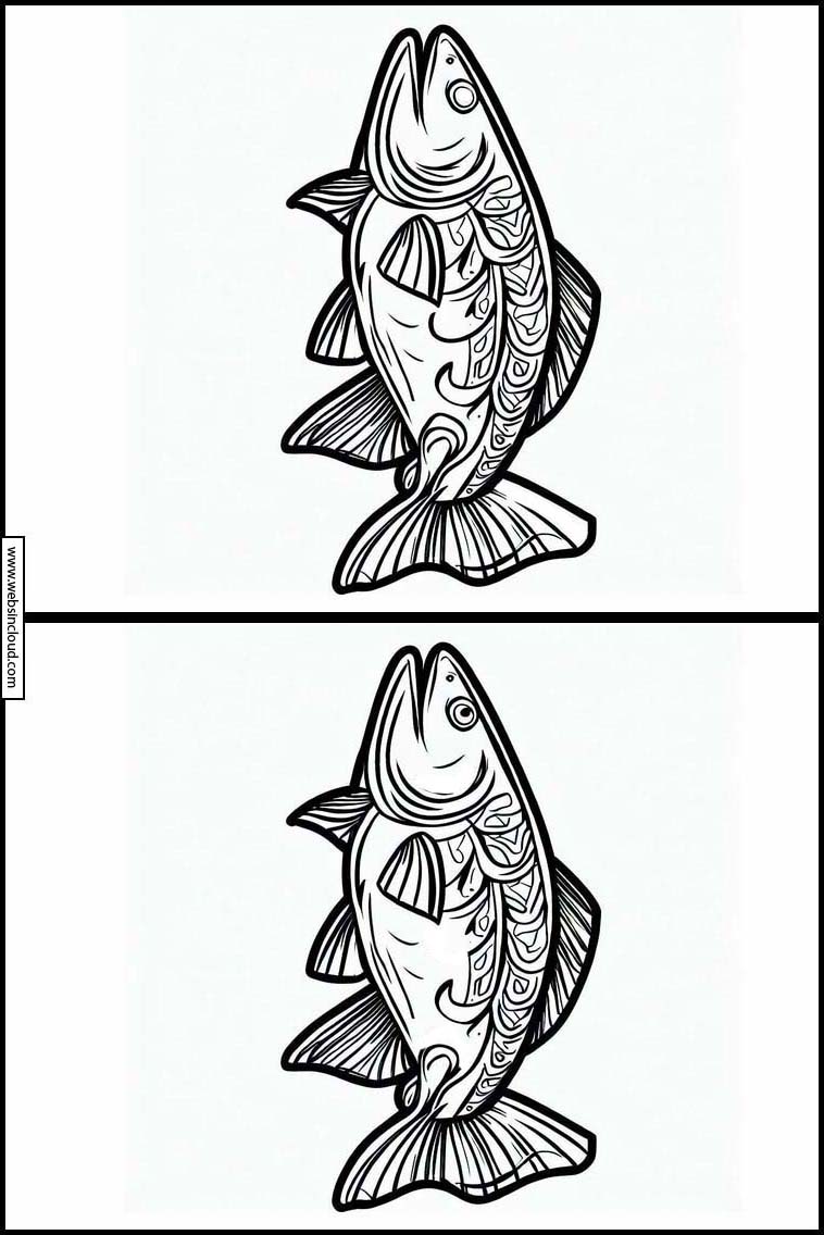 Zalm - Dieren 4