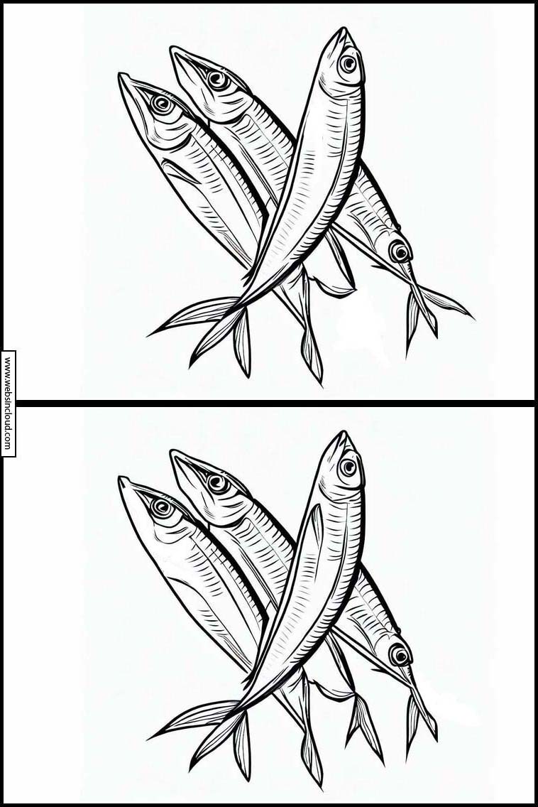  Sardines - Animaux 1