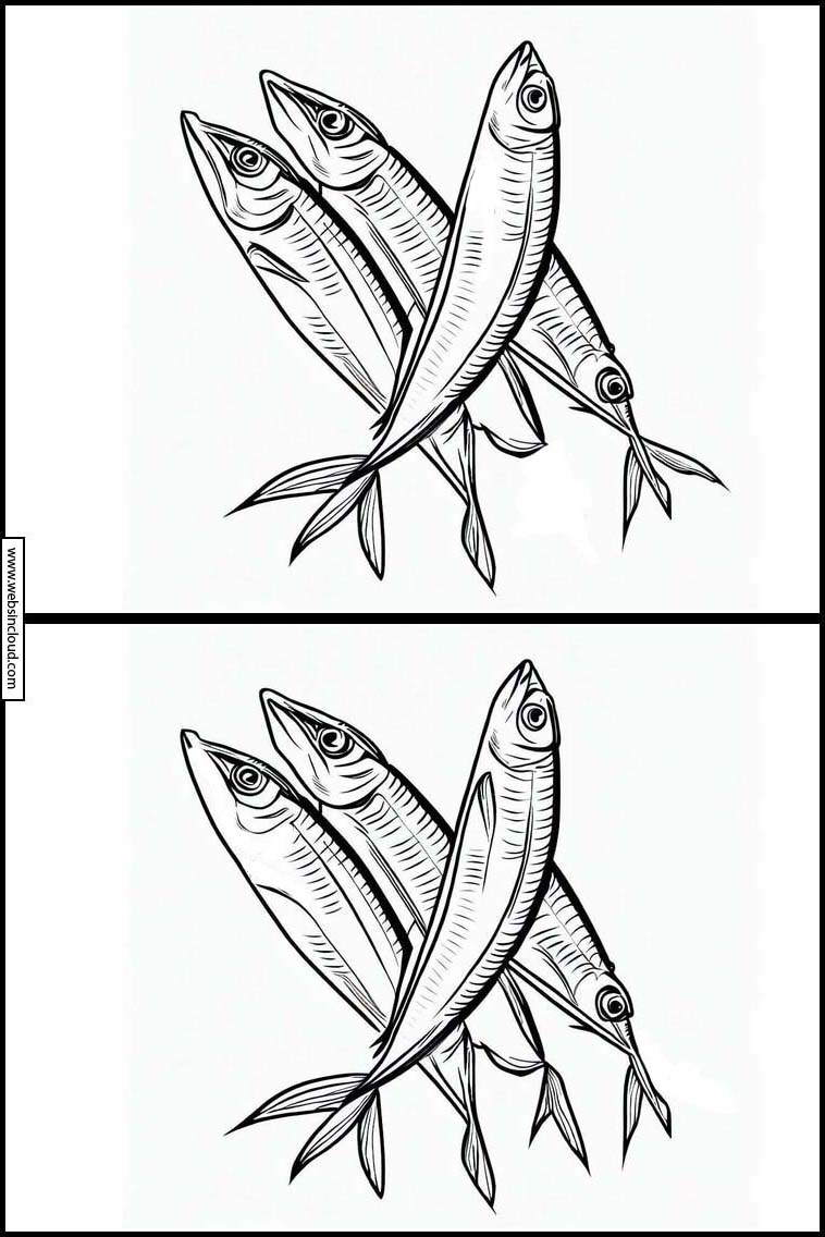 Sardines - Dieren 1