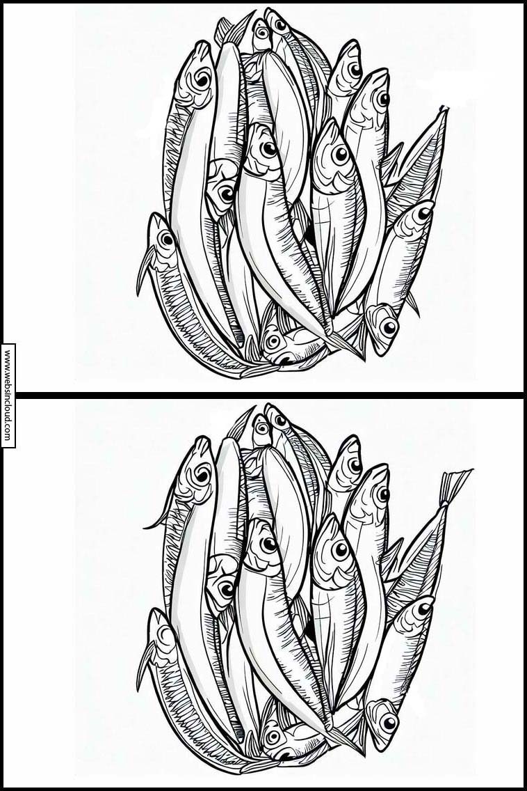 Sardines - Dieren 2
