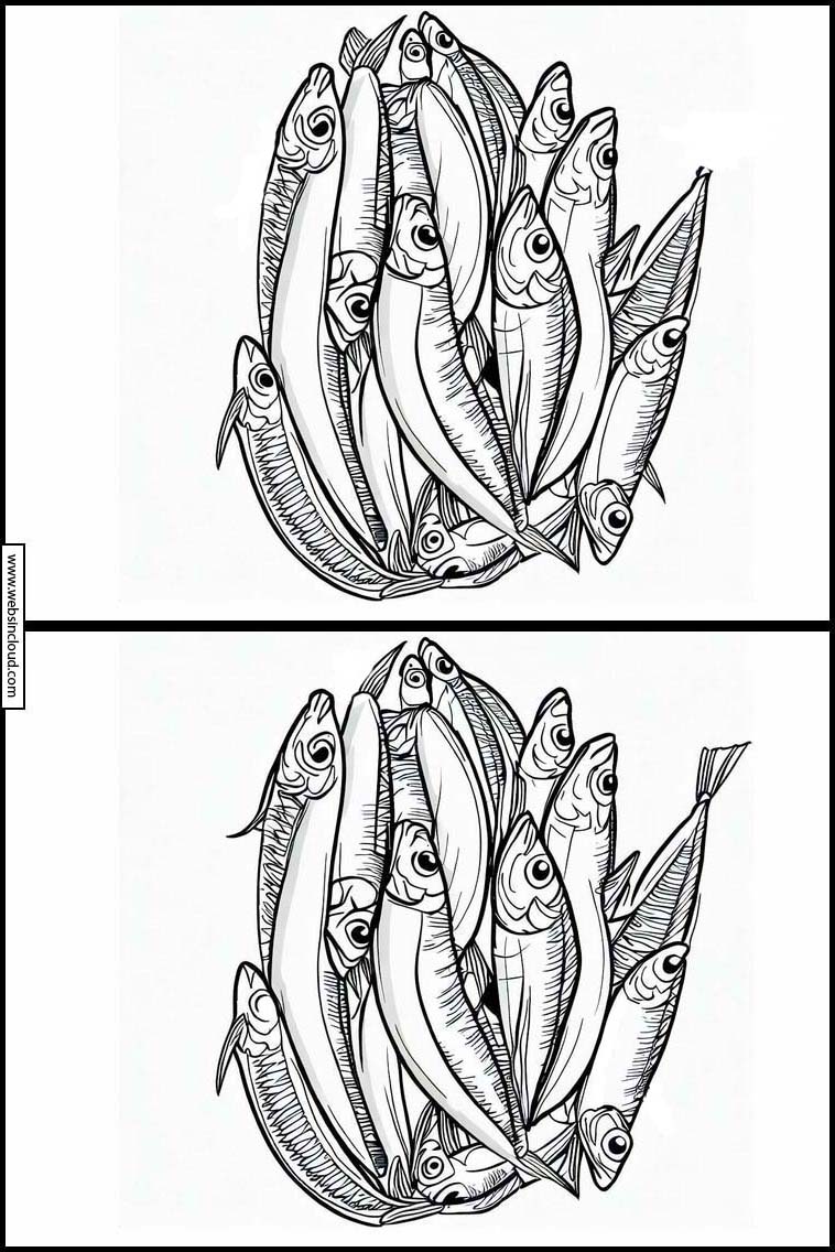 Sardinas - Animales 2