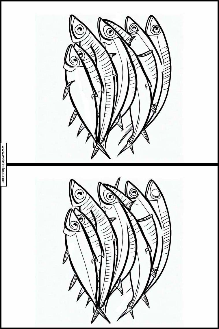 Sardines - Dieren 3