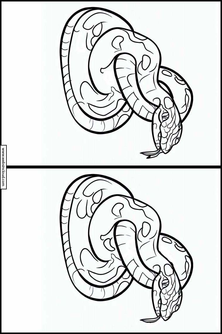 Snakes - Animals 1