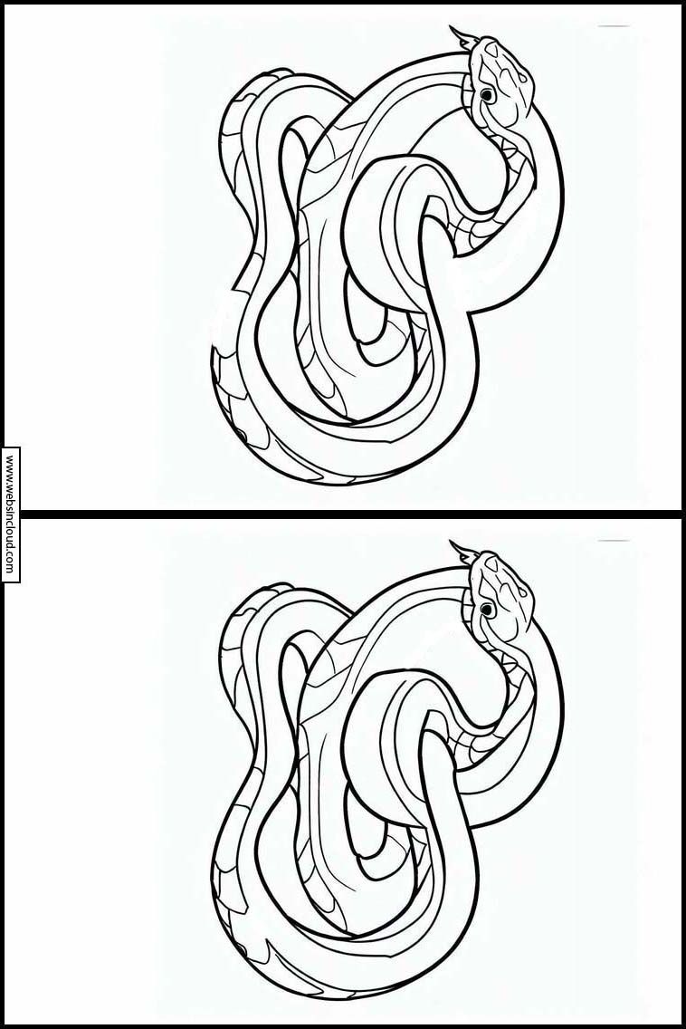 Serpenti - Animali 3
