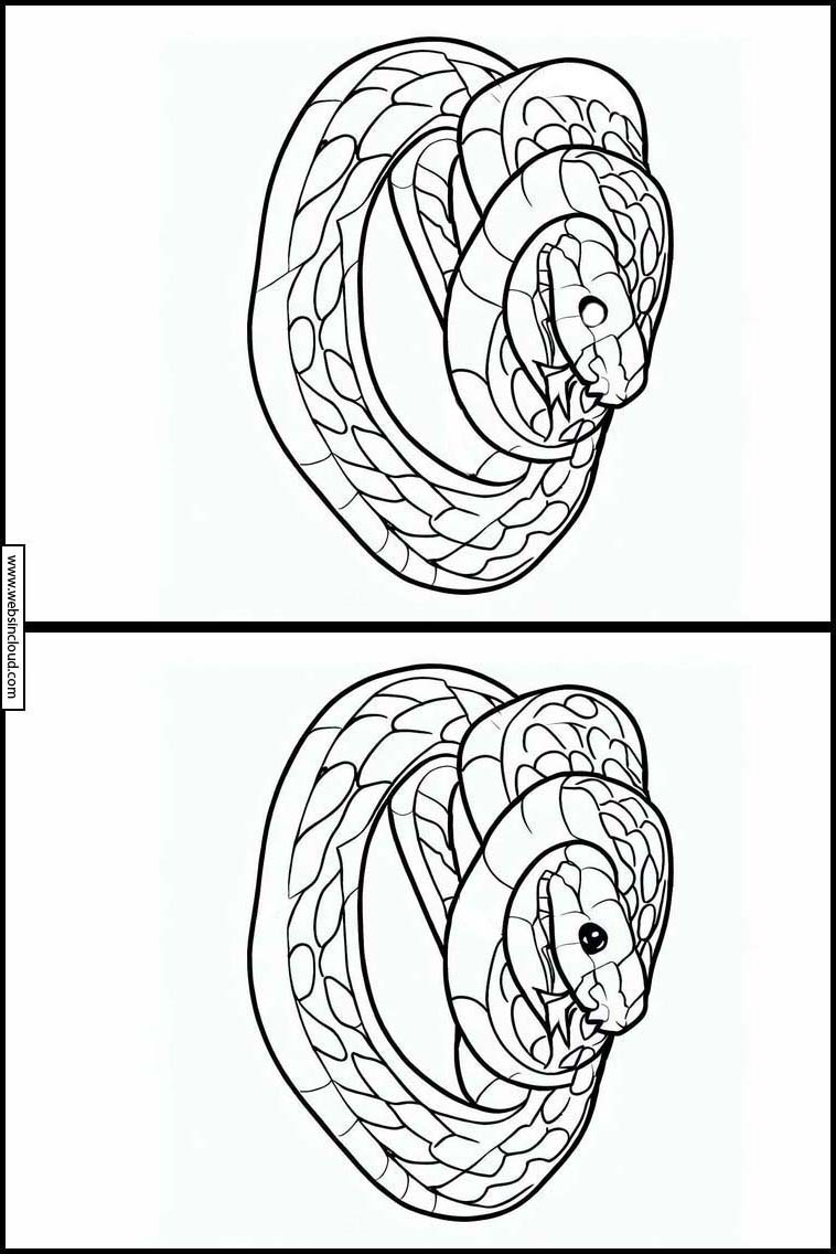 Slangen - Dieren 4