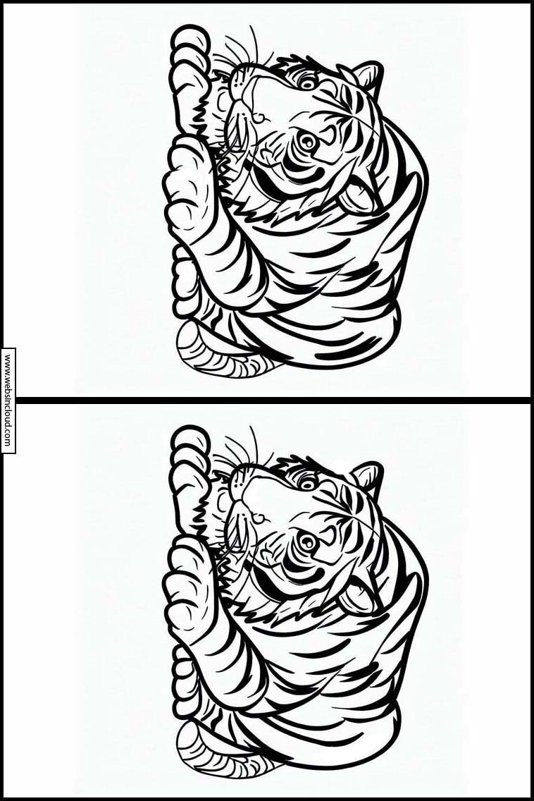 Tigrar - Djur 2
