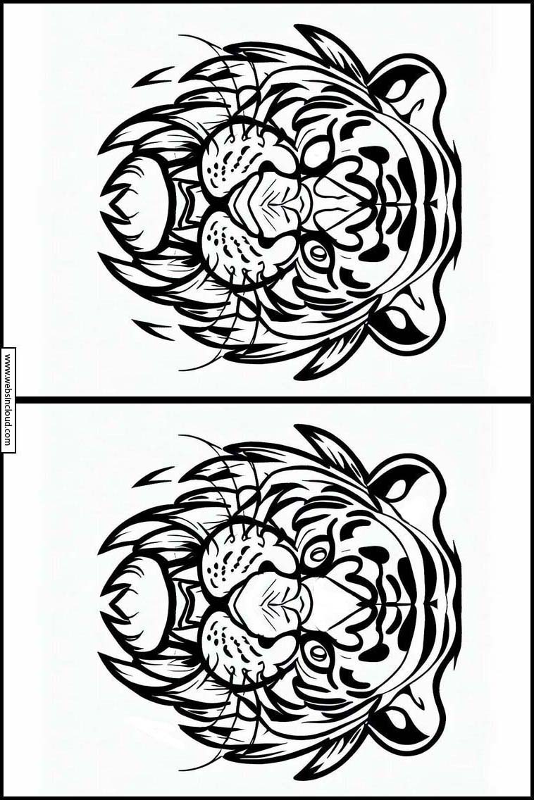 Tigres - Animais 5