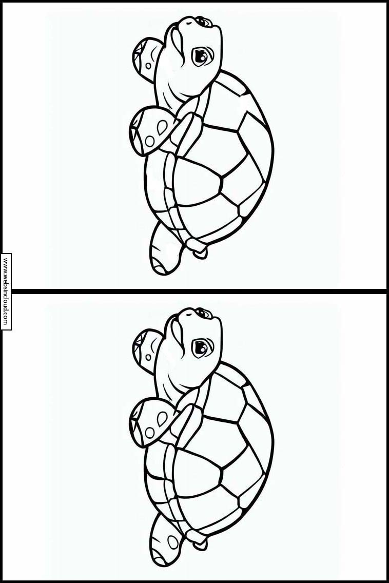 Schildpadden - Dieren 1