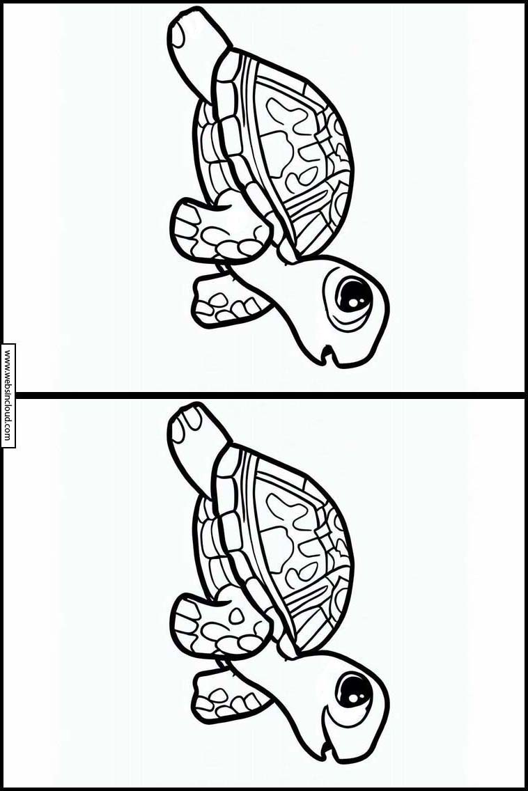 Sköldpaddor - Djur 2