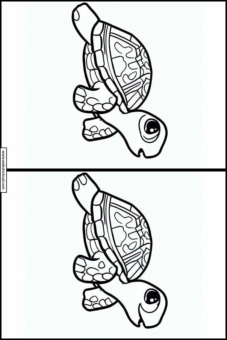 Turtles - Animals 2