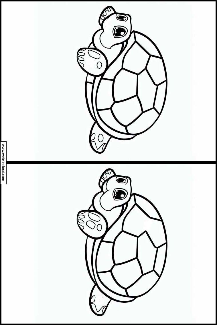 Tortues - Animaux 4