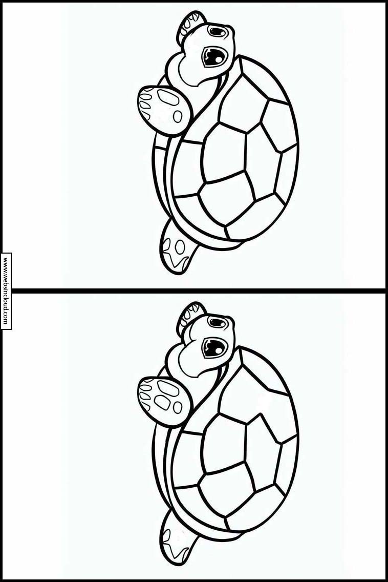 Turtles - Animals 4