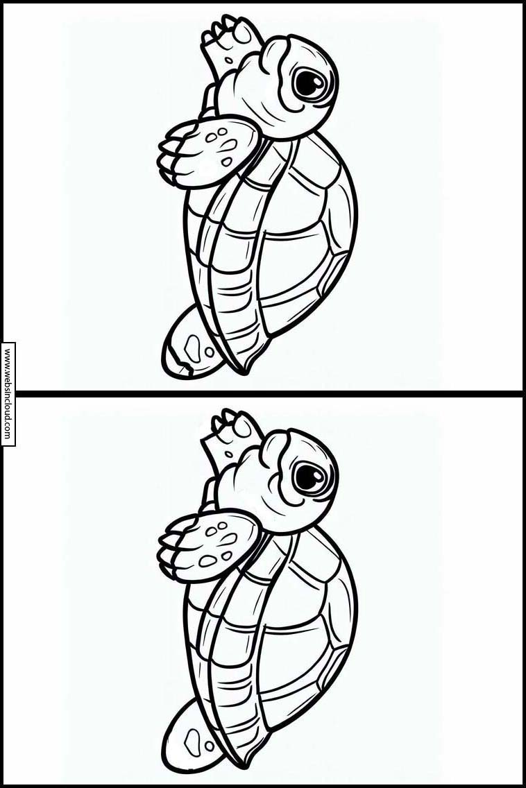 Sköldpaddor - Djur 5