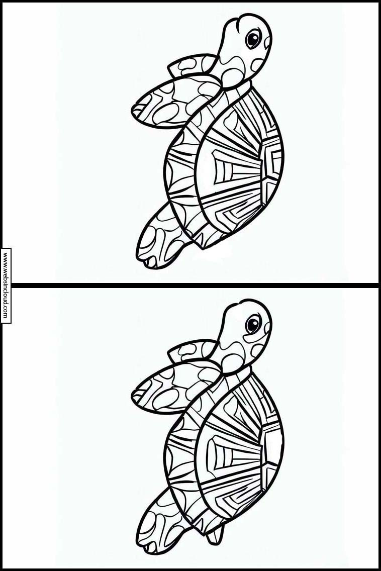 Tortues - Animaux 6