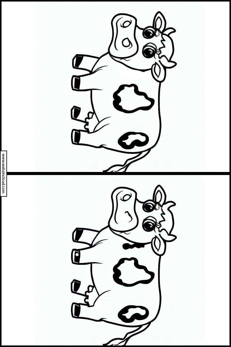 Koeien - Dieren 3