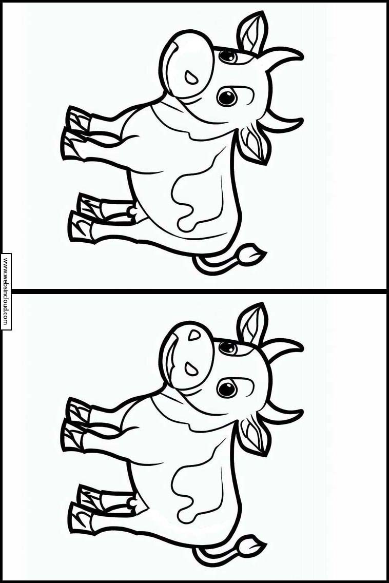 Kühe - Tiere 8