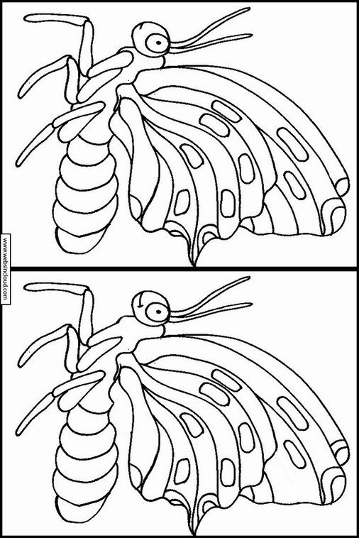 Dieren 105