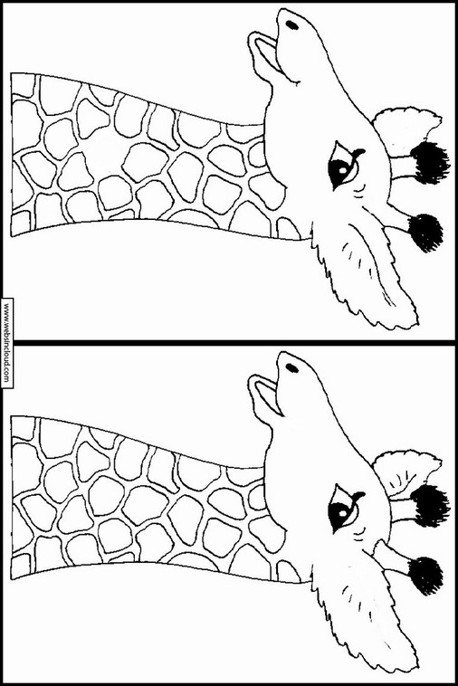 Dyr 213