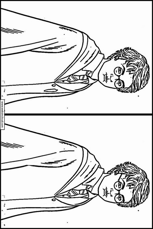 Harry Potter 28