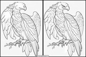 Adler - Tiere 1