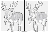 Elks - Animals 2