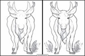 Elks - Animals 3