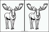 Elks - Animals 4
